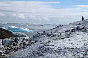 antarctica-01-blogazine-21-01-2013