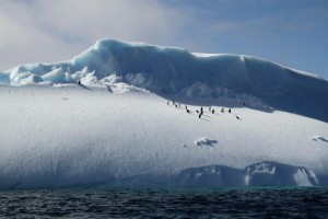 antarctica-04-blogazine-21-01-2013