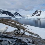 antarctica-05-blogazine-21-01-2013