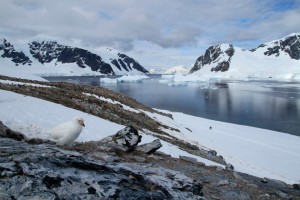 antarctica-05-blogazine-21-01-2013